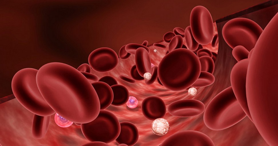 5 signes de manque d'oxygène dans votre sang NewsMAG 5 signes de manque d'oxygène dans votre sang NewsMAG