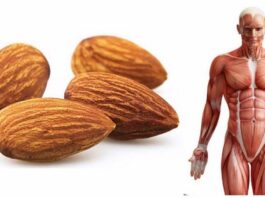 4 choses qui se passent dans votre corps lorsque vous mangez des amandes tous les jours