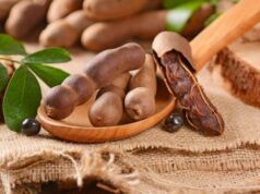 Le tamarin et ses 6 principaux vertus pour la santé Le tamarin et ses 6 principaux vertus pour la santé