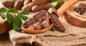 Le tamarin et ses 6 principaux vertus pour la santé Le tamarin et ses 6 principaux vertus pour la santé