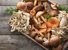 5 bonnes raisons de manger des champignons après 50 ans