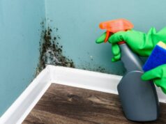 Une recette efficace de spray anti-moisissures avec seulement trois ingrédients Une recette efficace de spray anti-moisissures avec seulement trois ingrédients