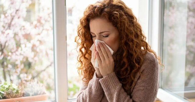 Fatigué des allergies ? Ces 6 gestes essentiels pour préparer votre maison au printemps font toute la différence !