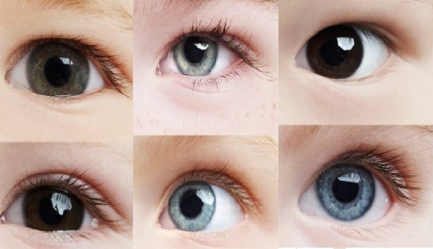 Decouvrez Quelle Serait La Couleur Des Yeux De Vos Enfants Avec Ce Guide Newsmag